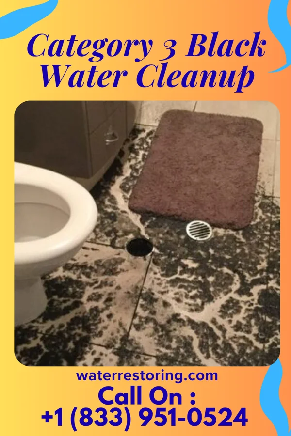 Category 3 Black Water Cleanup in Madison, NC